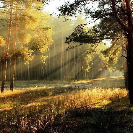 Pension Deimel Hallenberg Zewnętrze zdjęcie